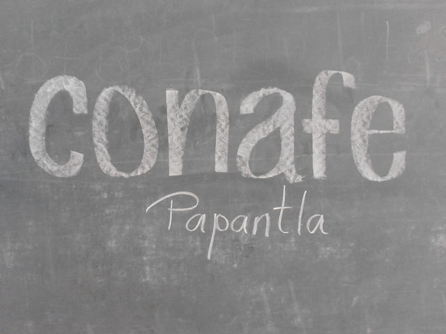 CONAFE-