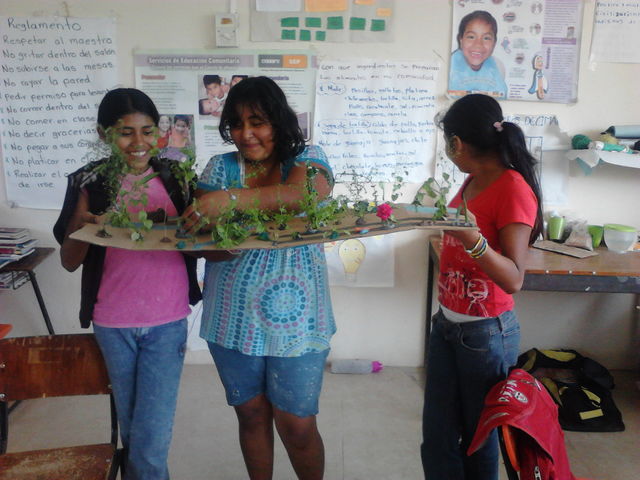 Clase de Ciencias Naturales. Elaboración de maqueta 
