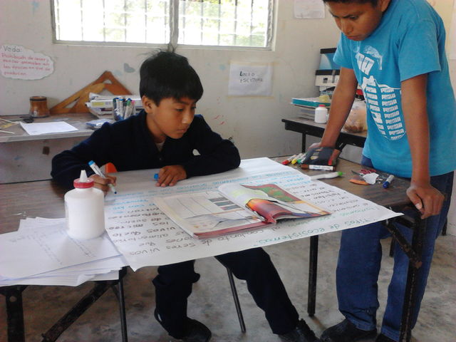 Trabajo de niños N-III en la comunidad de Palo Blanco, Gutiérrez Zamora