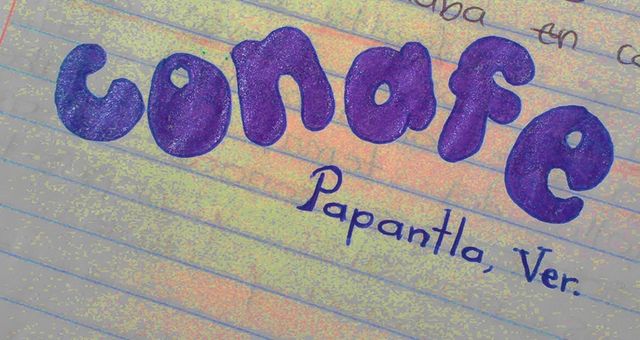 Conafe en mis apuntes...