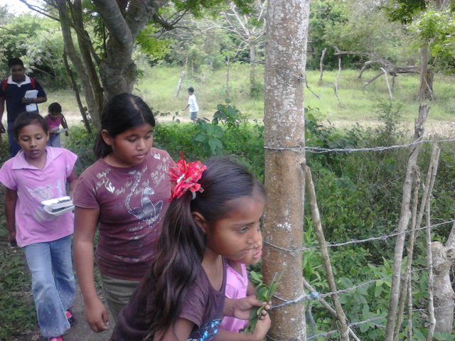 Recolección de plantas con alumnos de primaria mestiza en Mario Hdz. Posadas, Gutiérrez Zamora